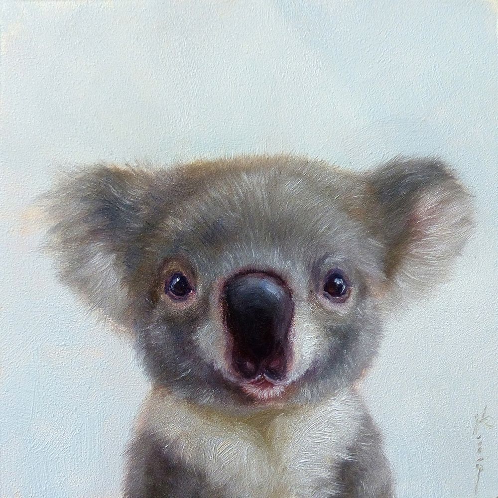 Lil Koala art print by Lucia Heffernan for $57.95 CAD