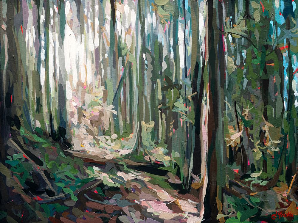 Forest Light art print by Joanne Hastie for $57.95 CAD