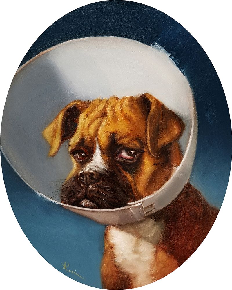 Cone of Shame art print by Lucia Heffernan for $57.95 CAD