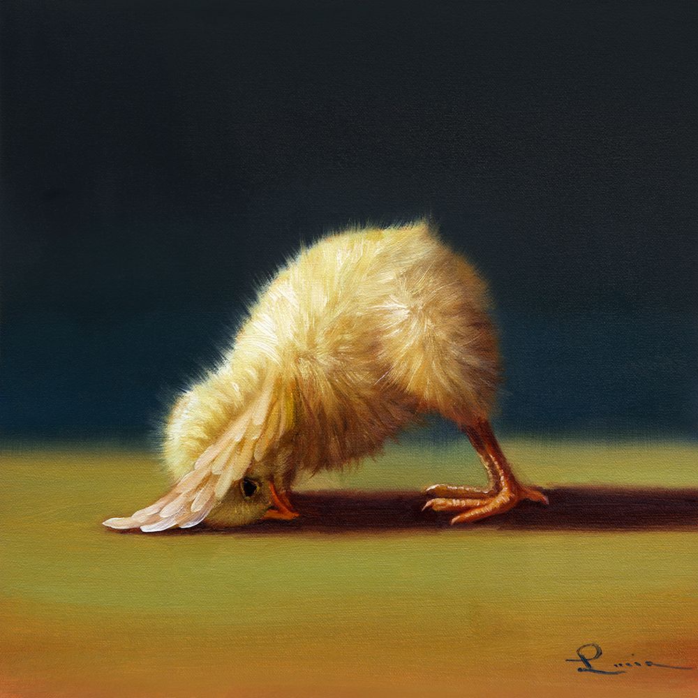 Yoga Chick Downward Dog art print by Lucia Heffernan for $57.95 CAD