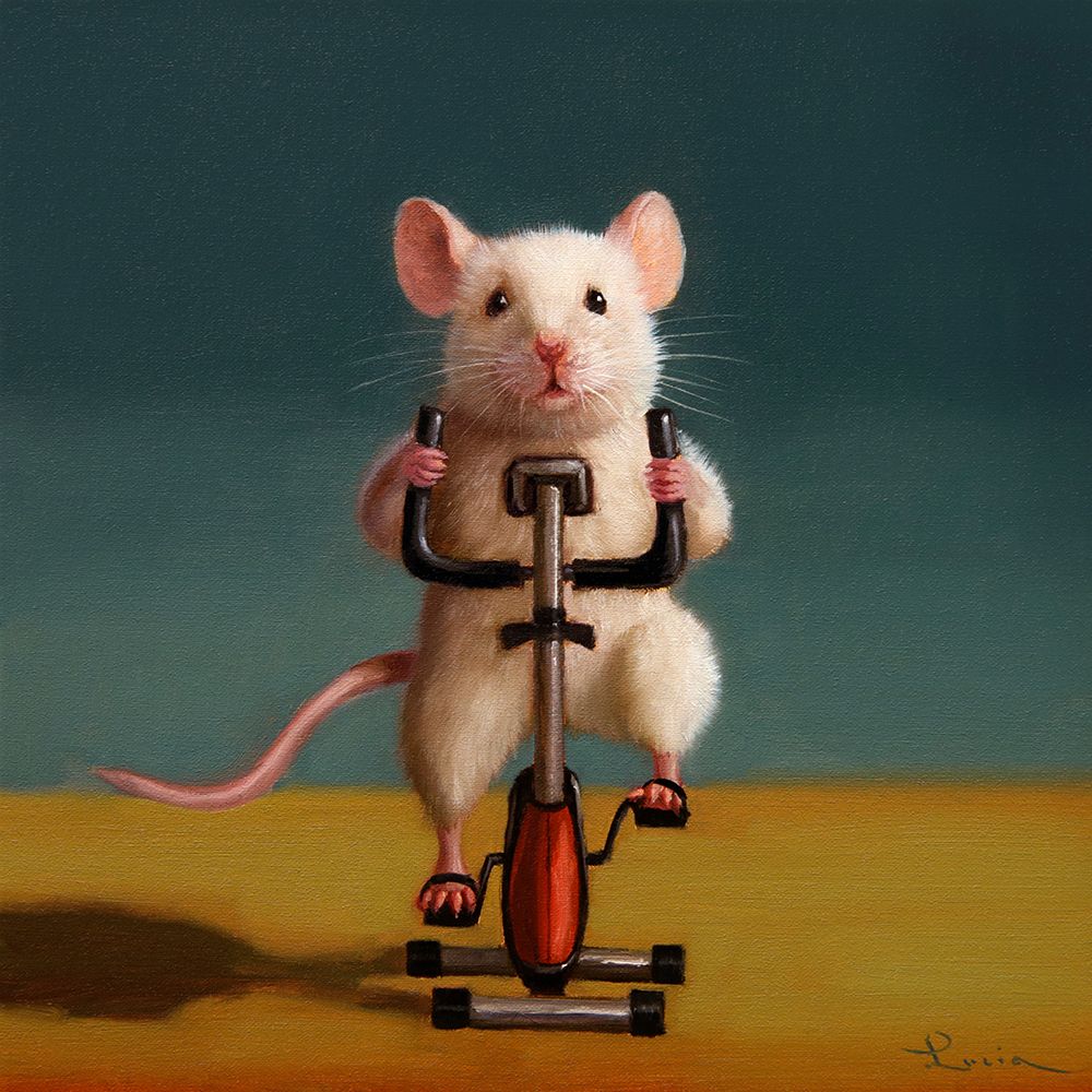 Gym Rat Spin art print by Lucia Heffernan for $57.95 CAD