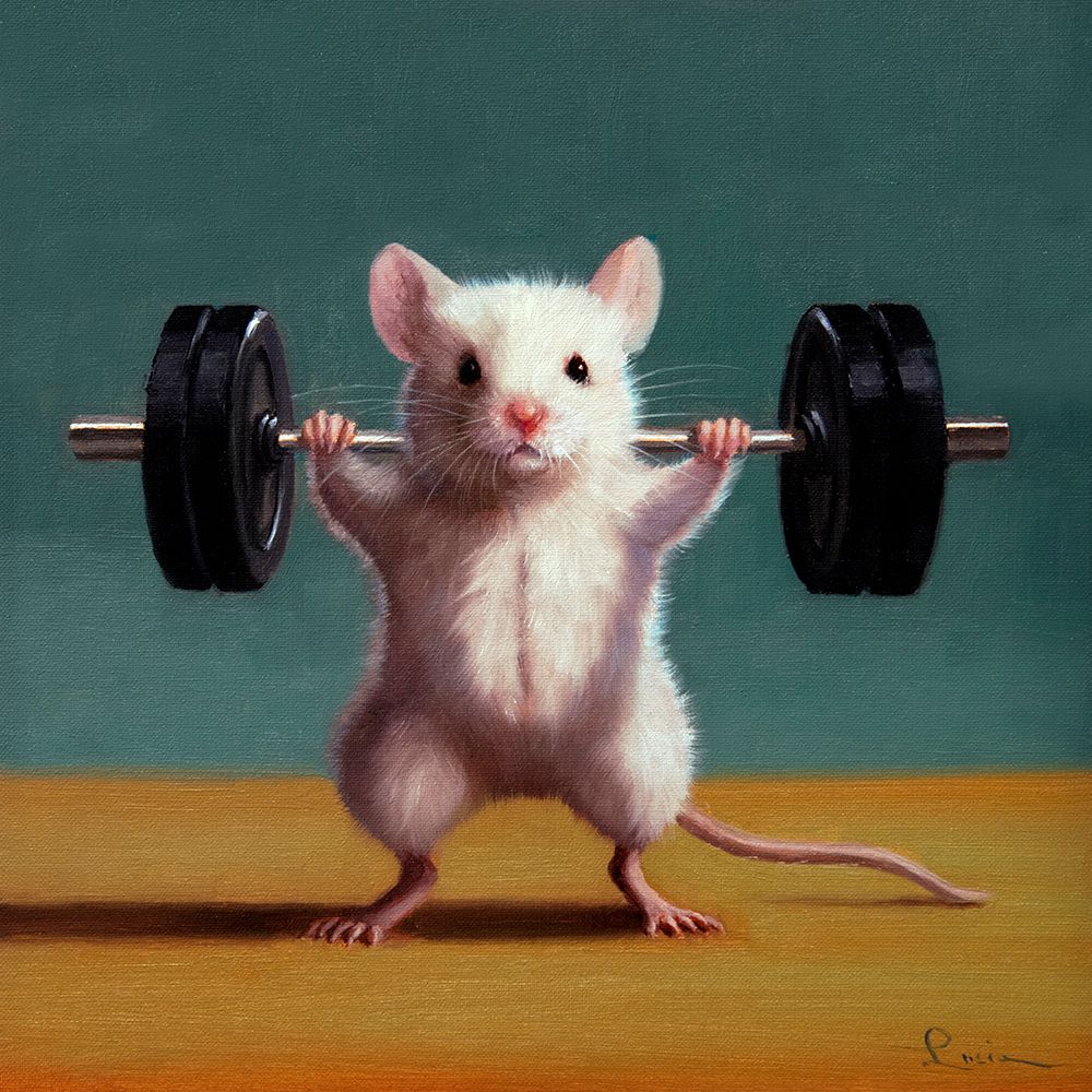 Gym Rat Back Squat art print by Lucia Heffernan for $57.95 CAD