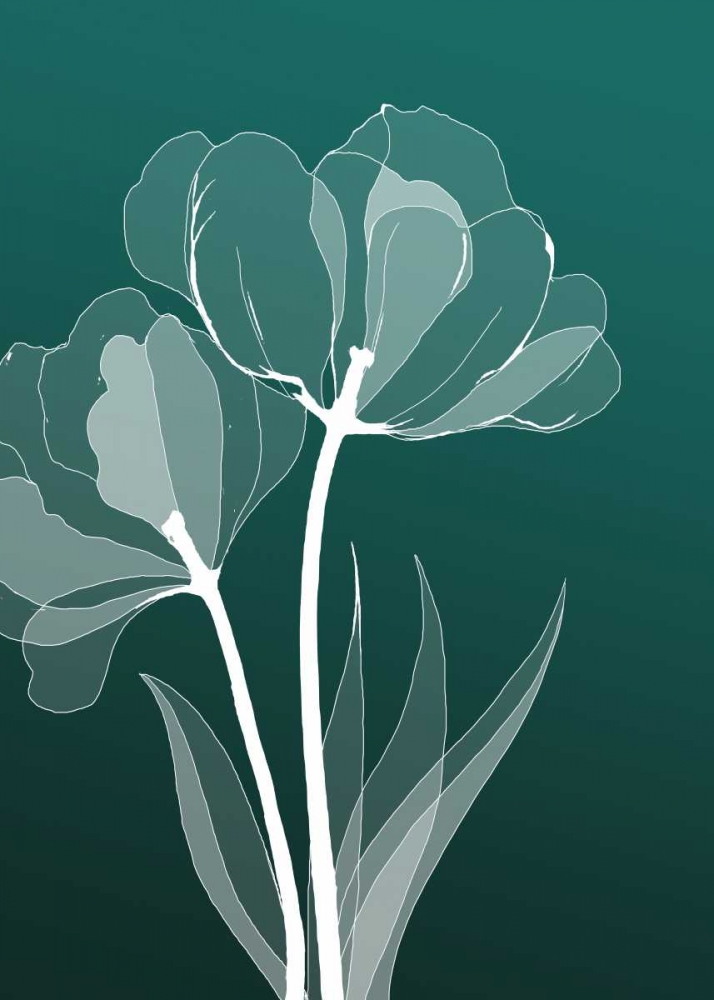 X-ray Flowers art print by GraphINC for $57.95 CAD