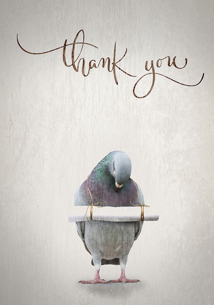 Thank you art print by TypeLike for $57.95 CAD
