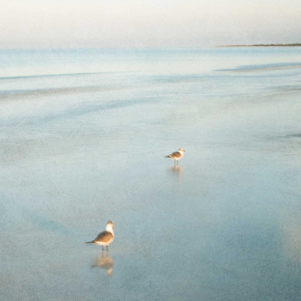 Two Birds on Beach art print by John Juracek for $57.95 CAD