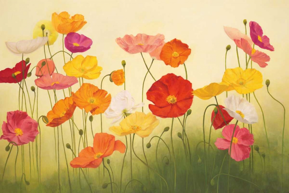 Sunlit Poppies art print by Janelle Kroner for $57.95 CAD
