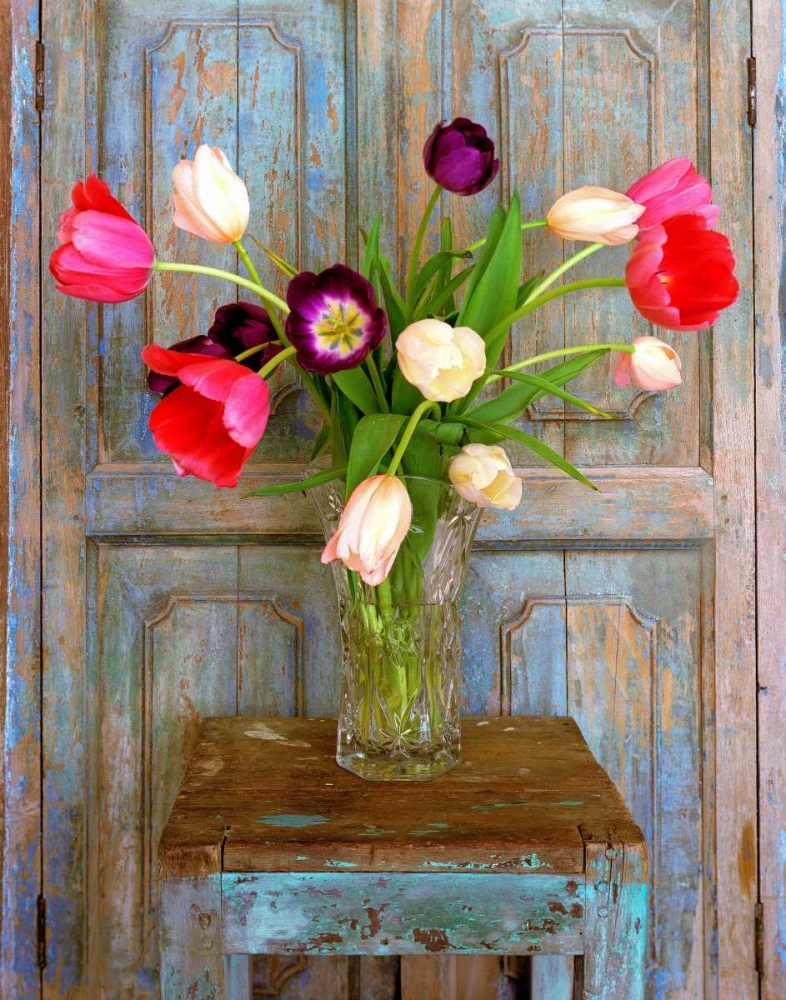 Tulips, Mexico art print by Alan Klug for $57.95 CAD