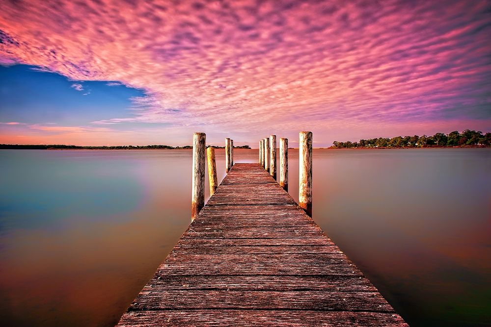 Pink Pier art print by Tracie Louise for $57.95 CAD