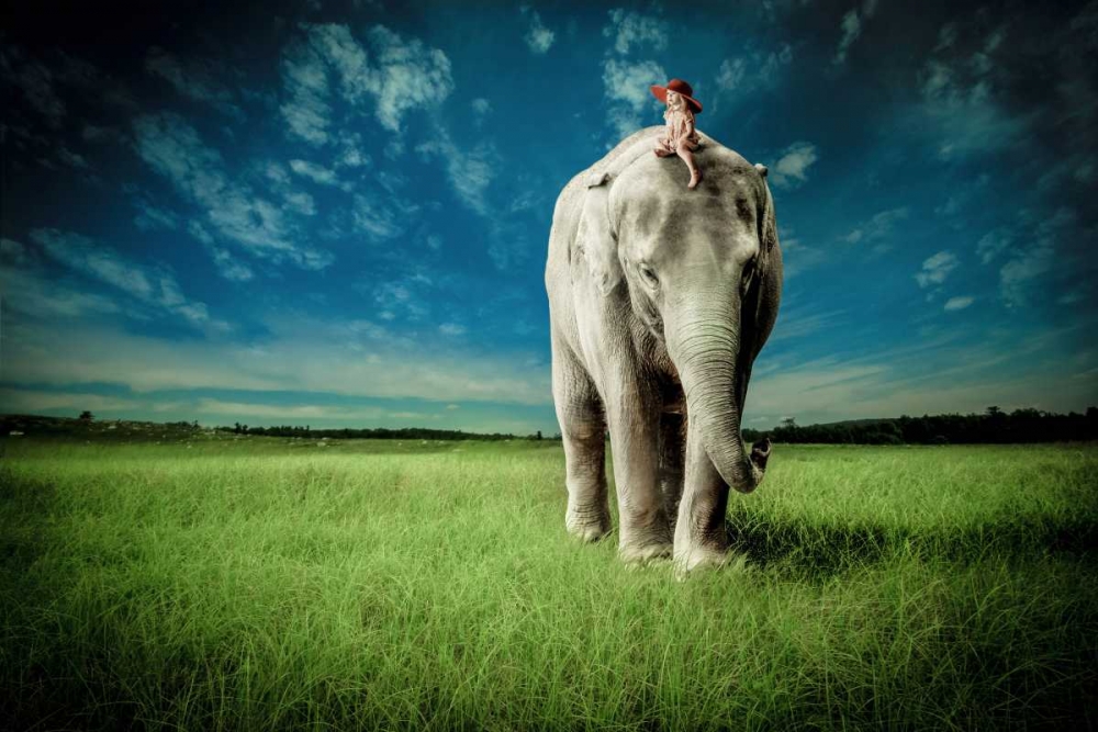 Elephant Carry Me art print by Jeff Madison for $57.95 CAD