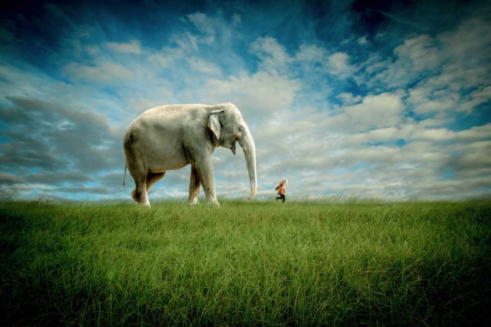 Elephant Follow Me art print by Jeff Madison for $57.95 CAD