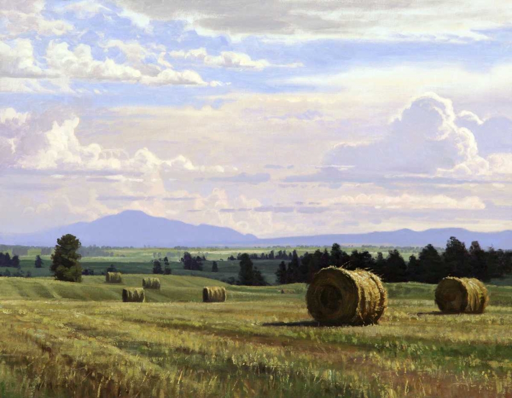 Fresh Cut Hay art print by Jay Moore for $57.95 CAD
