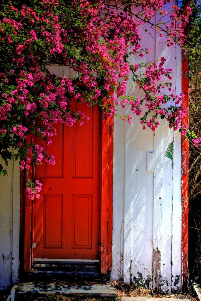 Red Door art print by Dean Mayo for $57.95 CAD