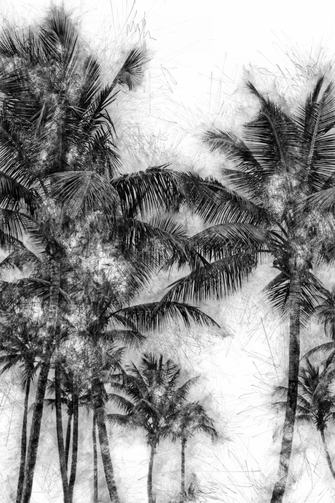 Dorado Palms 1 art print by Golie Miamee for $57.95 CAD