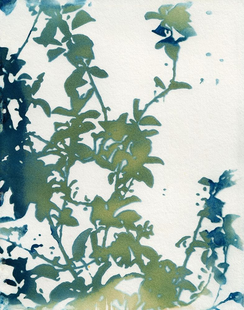 Shadow Floral art print by Krista McCurdy for $57.95 CAD