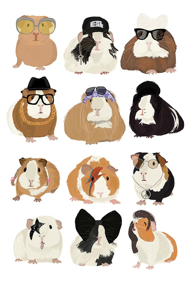 Musical Guinea Pigs art print by Hanna Melin for $57.95 CAD