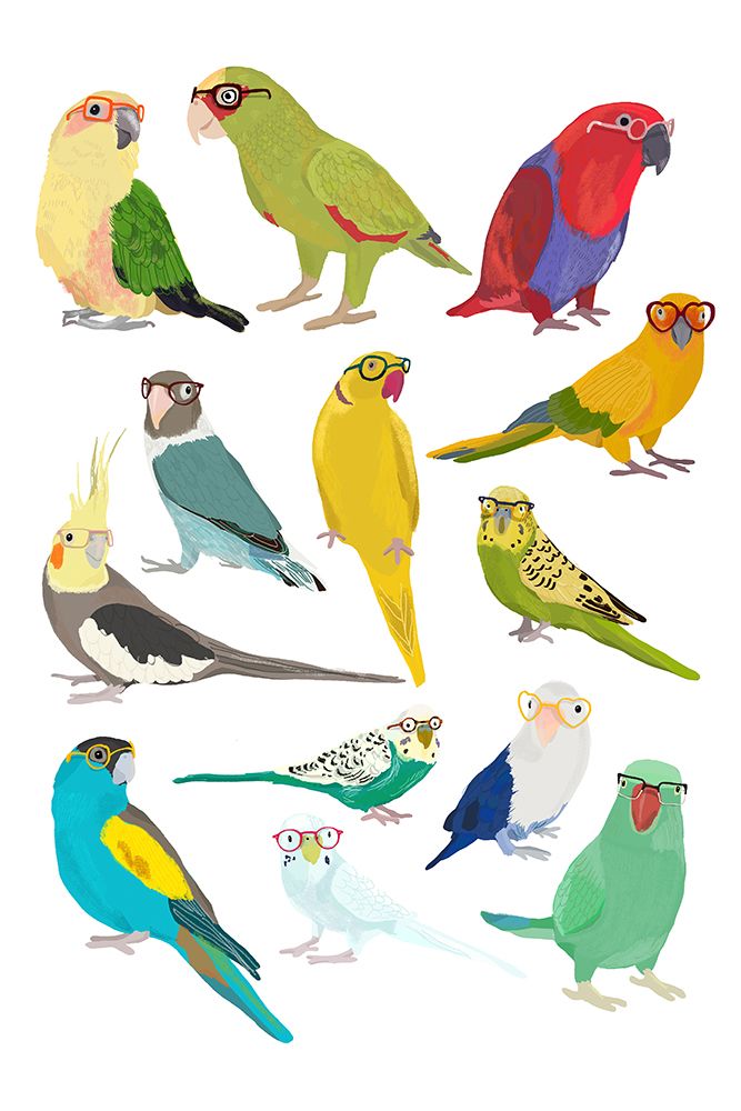 Parrots art print by Hanna Melin for $57.95 CAD