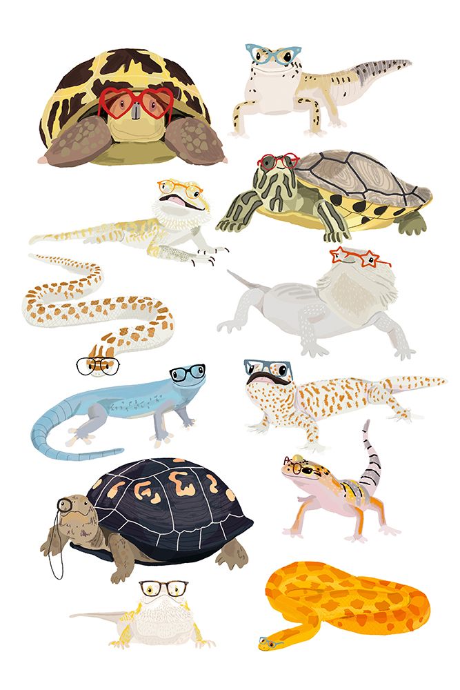Reptiles in Glasses art print by Hanna Melin for $57.95 CAD
