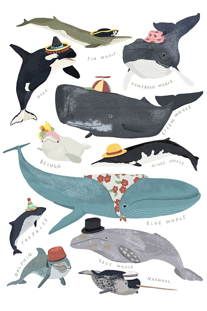 Whales in Hats art print by Hanna Melin for $57.95 CAD