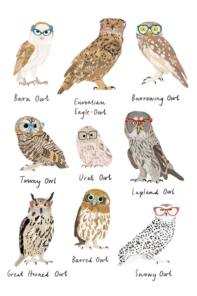 Owls in Glasses art print by Hanna Melin for $57.95 CAD