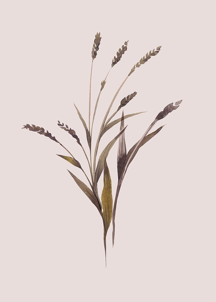 Wheat art print by Design Fabrikken for $57.95 CAD