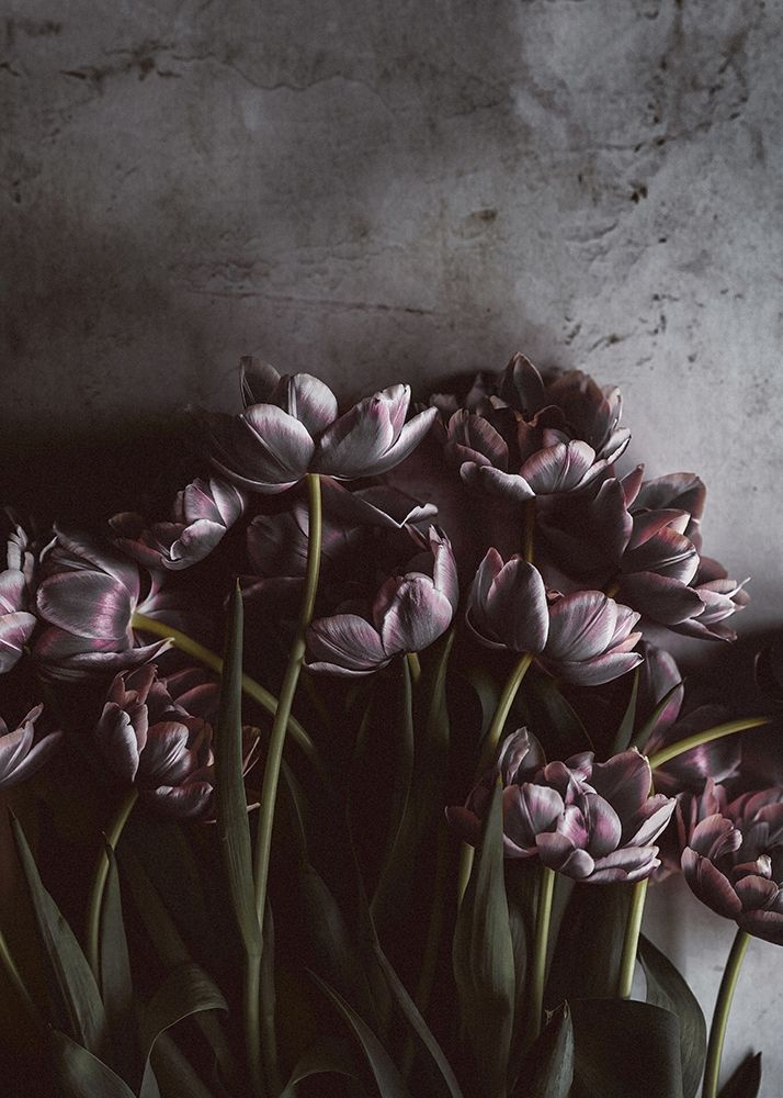 Dark Tulips art print by Design Fabrikken for $57.95 CAD