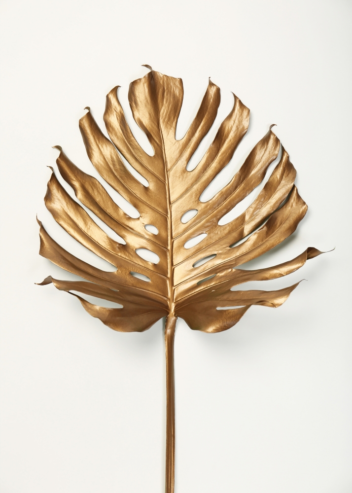Monstrea Gold Leaf art print by Design Fabrikken for $57.95 CAD