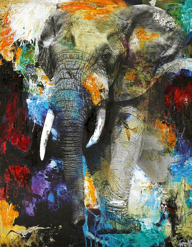 Elephant art print by Design Fabrikken for $57.95 CAD