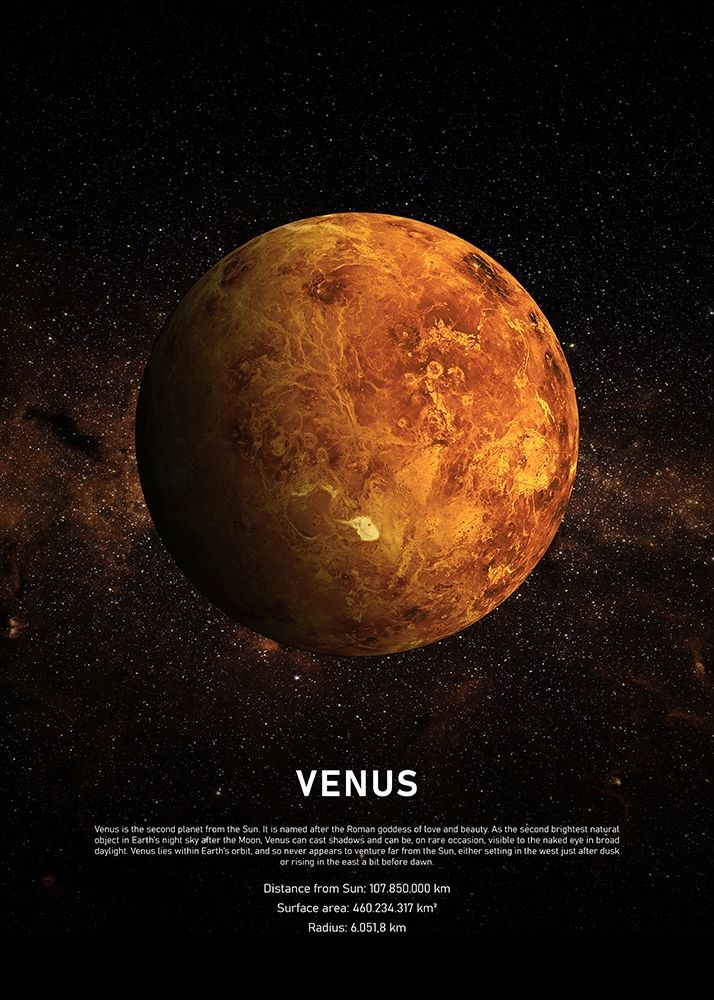 Venus art print by Design Fabrikken for $57.95 CAD
