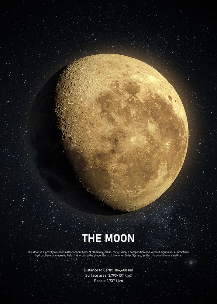 The Moon art print by Design Fabrikken for $57.95 CAD