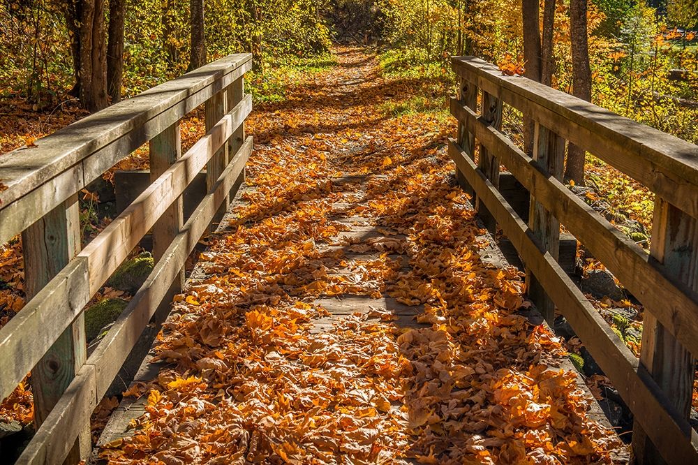 Fall On The Footbridge art print by Tim Oldford for $57.95 CAD