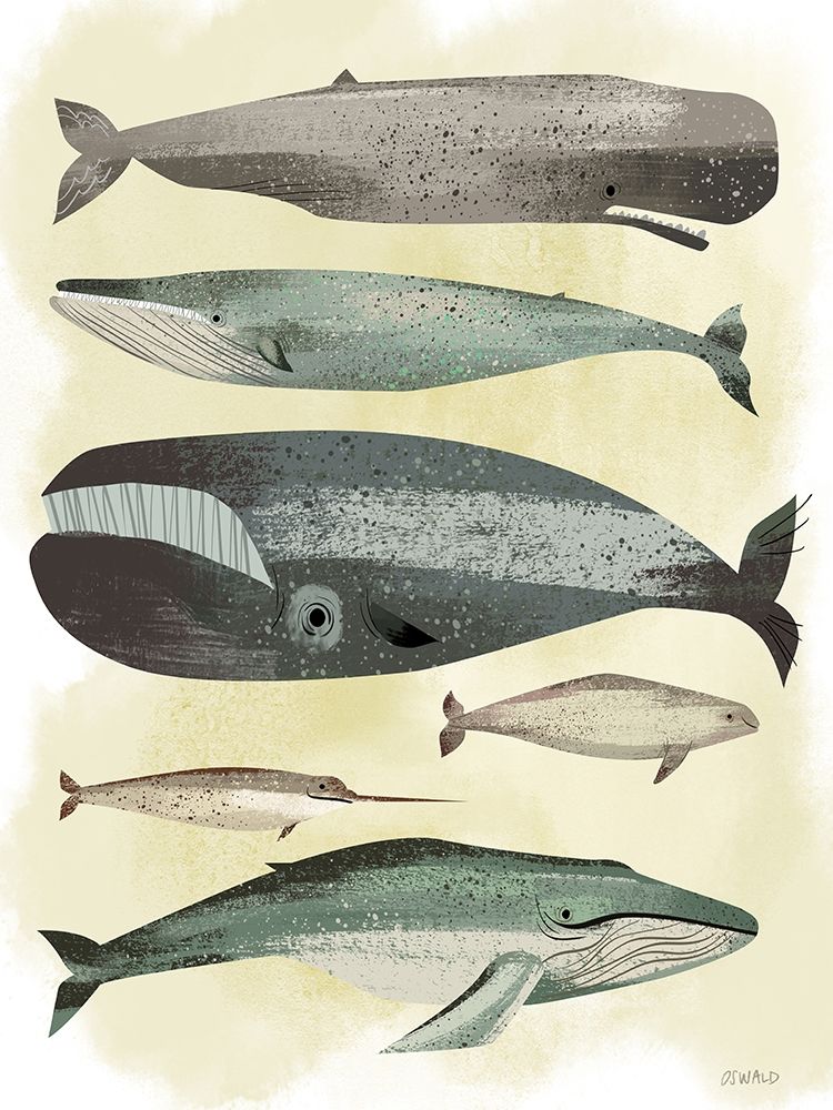 Whales art print by Pete Oswald for $57.95 CAD