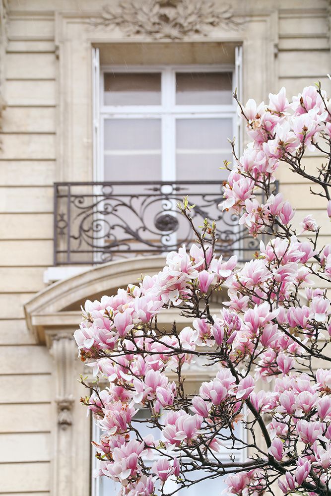 Spring Magnolias in Paris art print by Carina Okula for $57.95 CAD