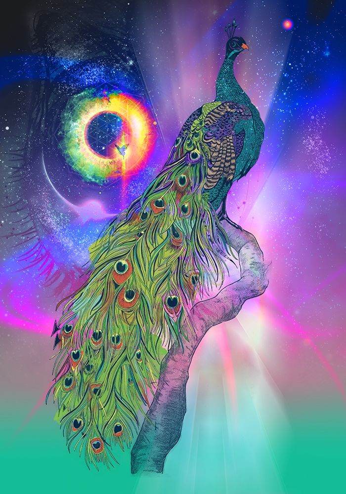 Cosmic Peacock art print by Karin Roberts for $57.95 CAD