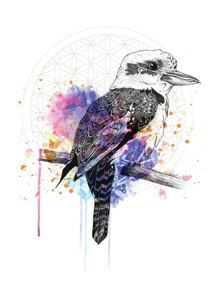 Kookaburra art print by Karin Roberts for $57.95 CAD