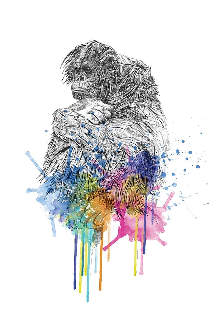 Orangutan art print by Karin Roberts for $57.95 CAD