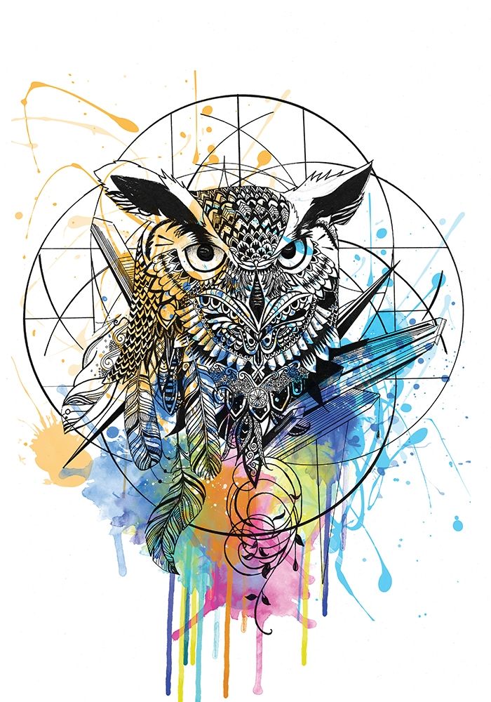Owl art print by Karin Roberts for $57.95 CAD