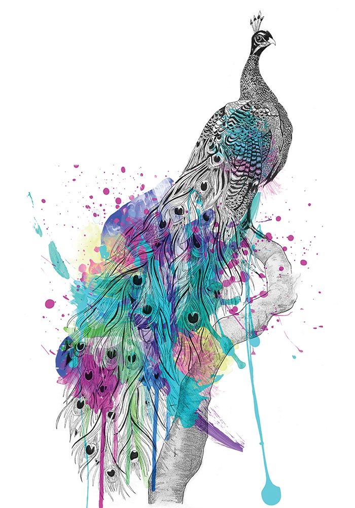 Peacock art print by Karin Roberts for $57.95 CAD