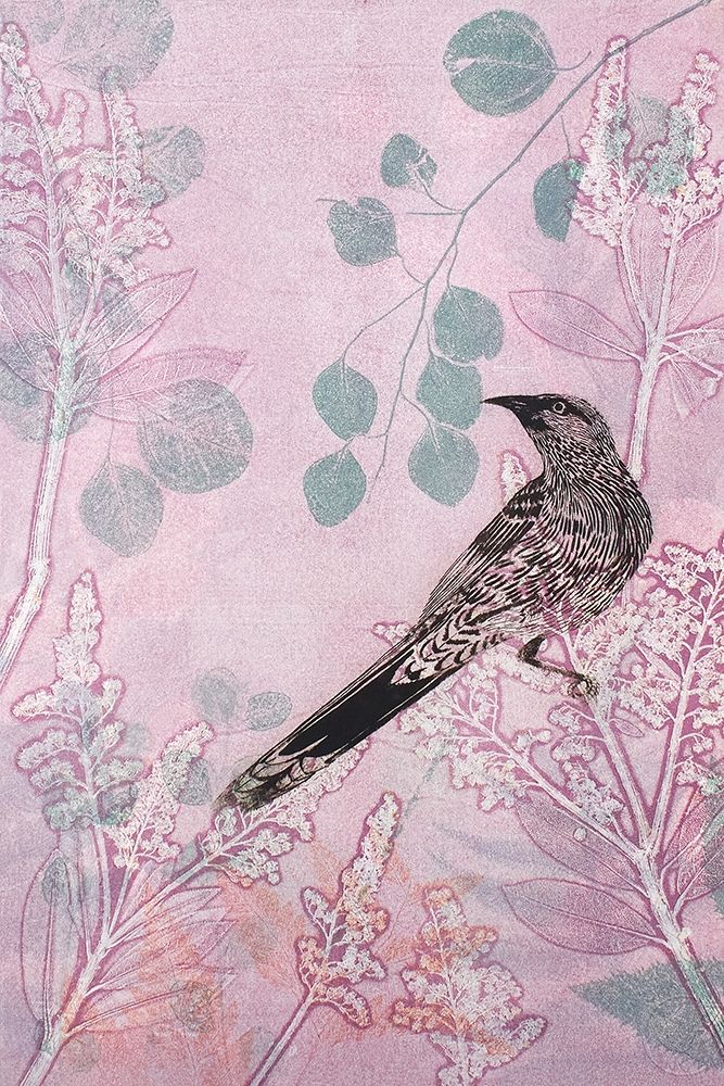 Dusk Wattlebird in Pink art print by Trudy Rice for $57.95 CAD