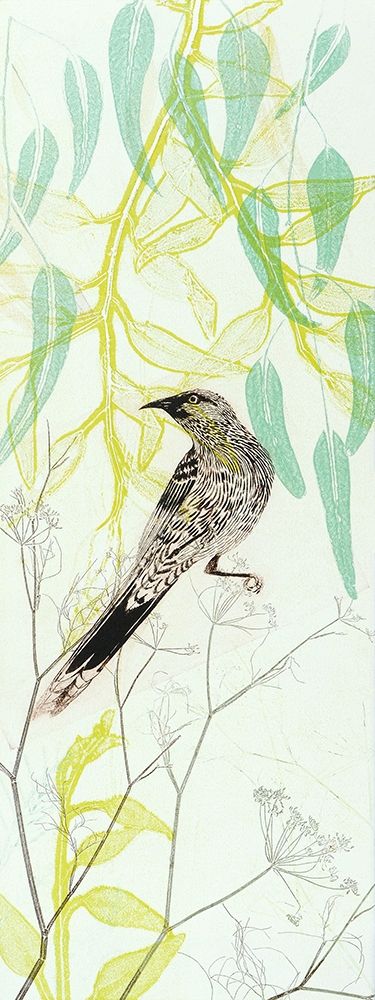 Eager To Fly Wattlebird art print by Trudy Rice for $57.95 CAD
