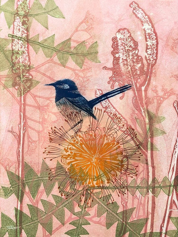 Little Blue Wren art print by Trudy Rice for $57.95 CAD