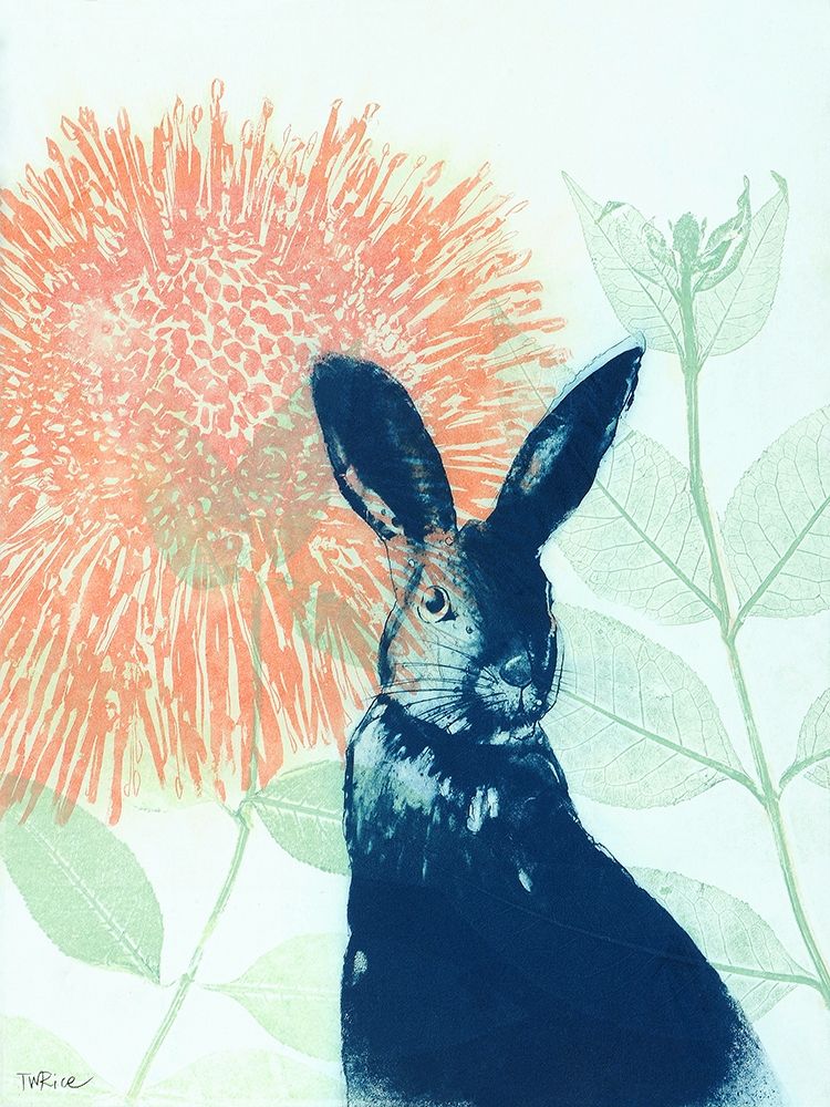 Pink Waratah and Blue Rabbit art print by Trudy Rice for $57.95 CAD
