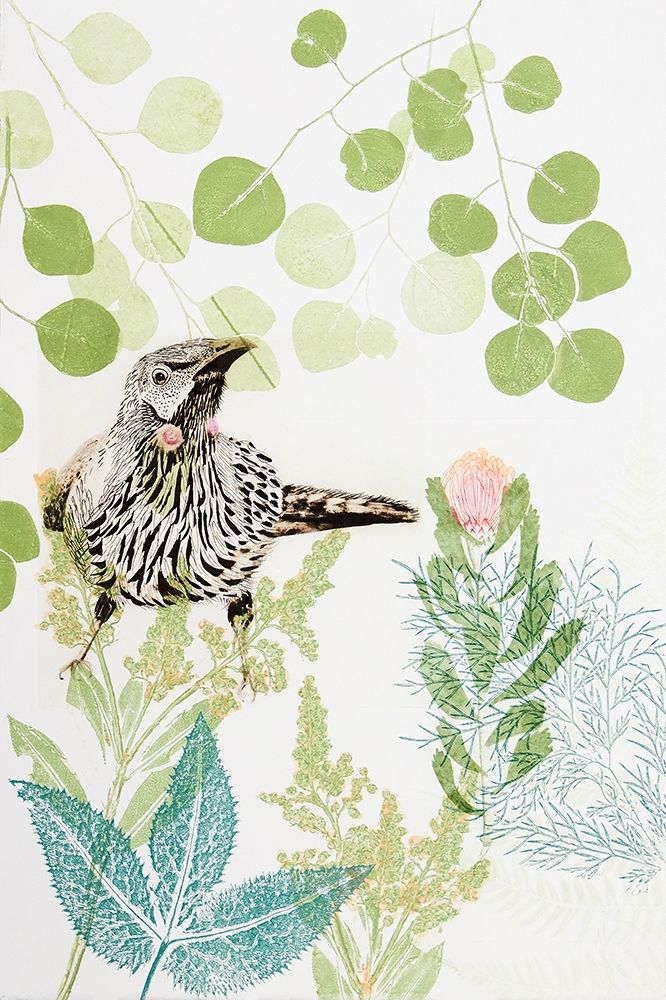 Wattlebird and Pincushion Protea art print by Trudy Rice for $57.95 CAD