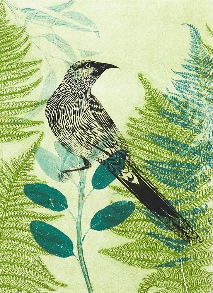 Wattlebird Hiding in the Fernery art print by Trudy Rice for $57.95 CAD