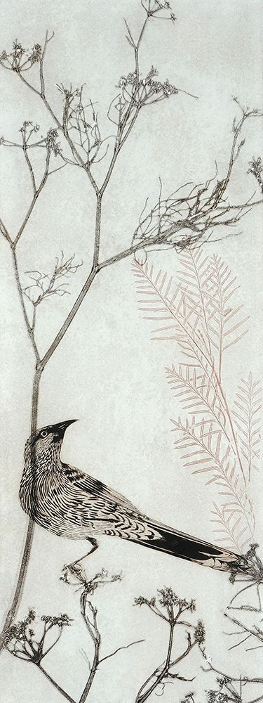 Wattlebird Resting on a Branch art print by Trudy Rice for $57.95 CAD