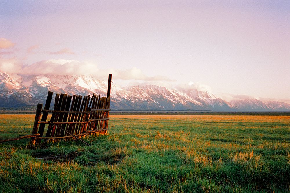 Fence In Jackson art print by Sol Rapson for $57.95 CAD
