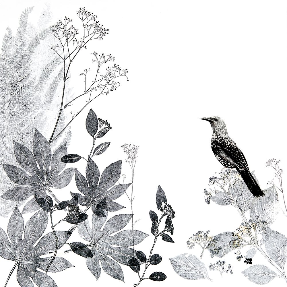 Thoughtful Wattlebird art print by Trudy Rice for $57.95 CAD
