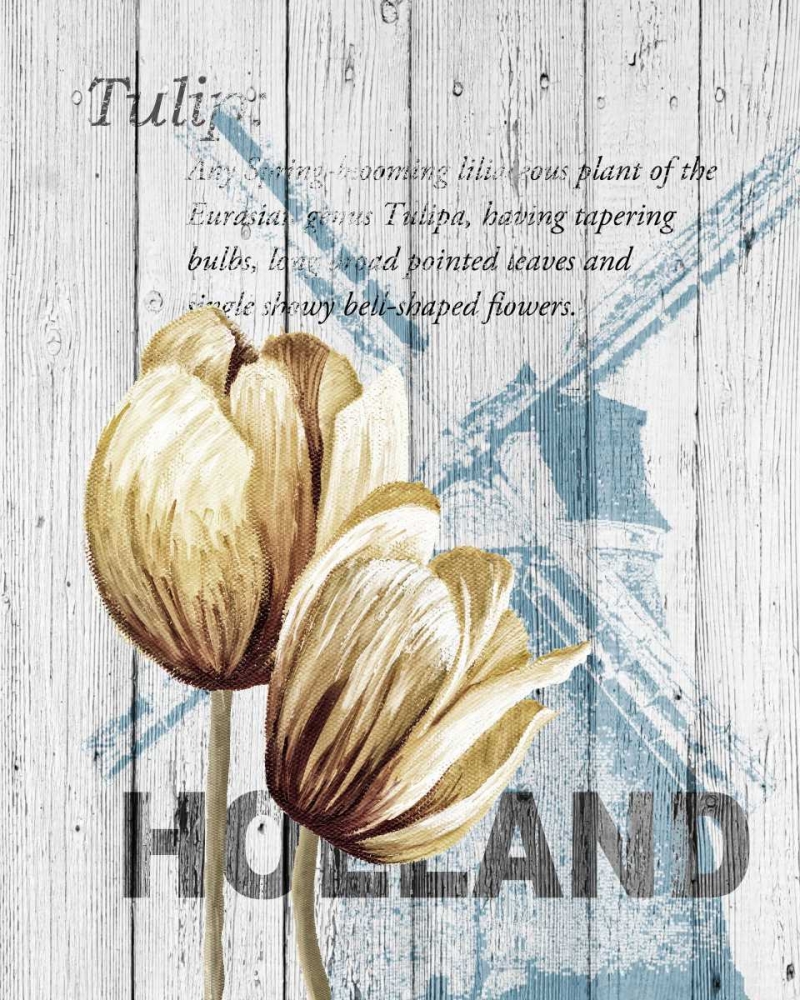 Holland Tulips art print by Alicia Soave for $57.95 CAD
