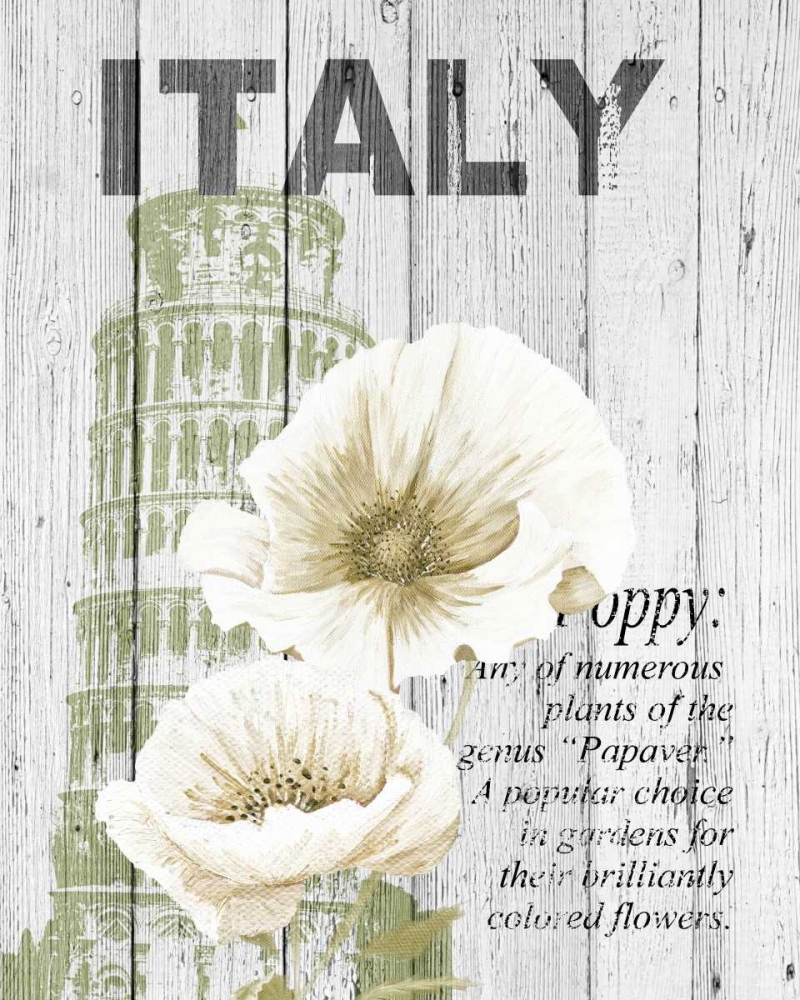 Italy Poppies art print by Alicia Soave for $57.95 CAD