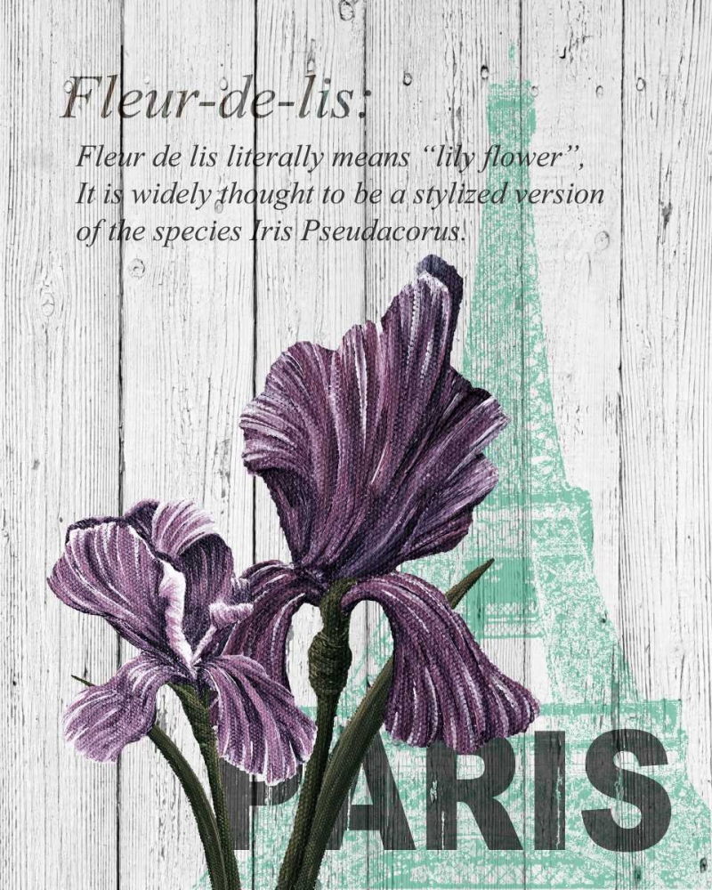 Paris Iris art print by Alicia Soave for $57.95 CAD