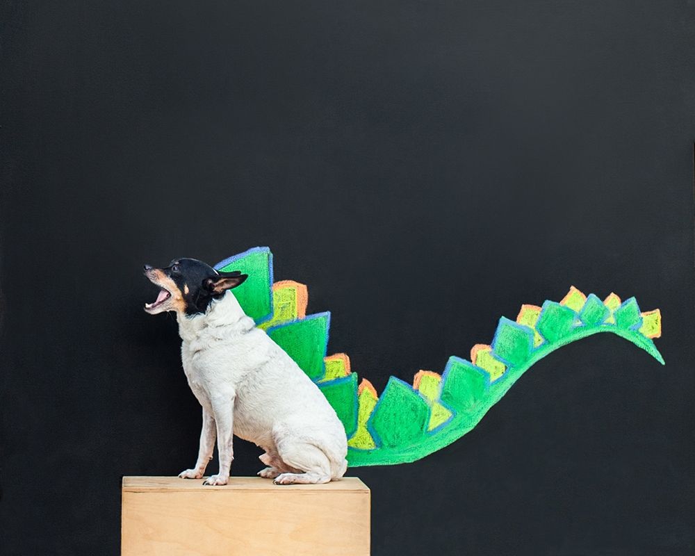 Dino Dog art print by Susan Sabo for $57.95 CAD
